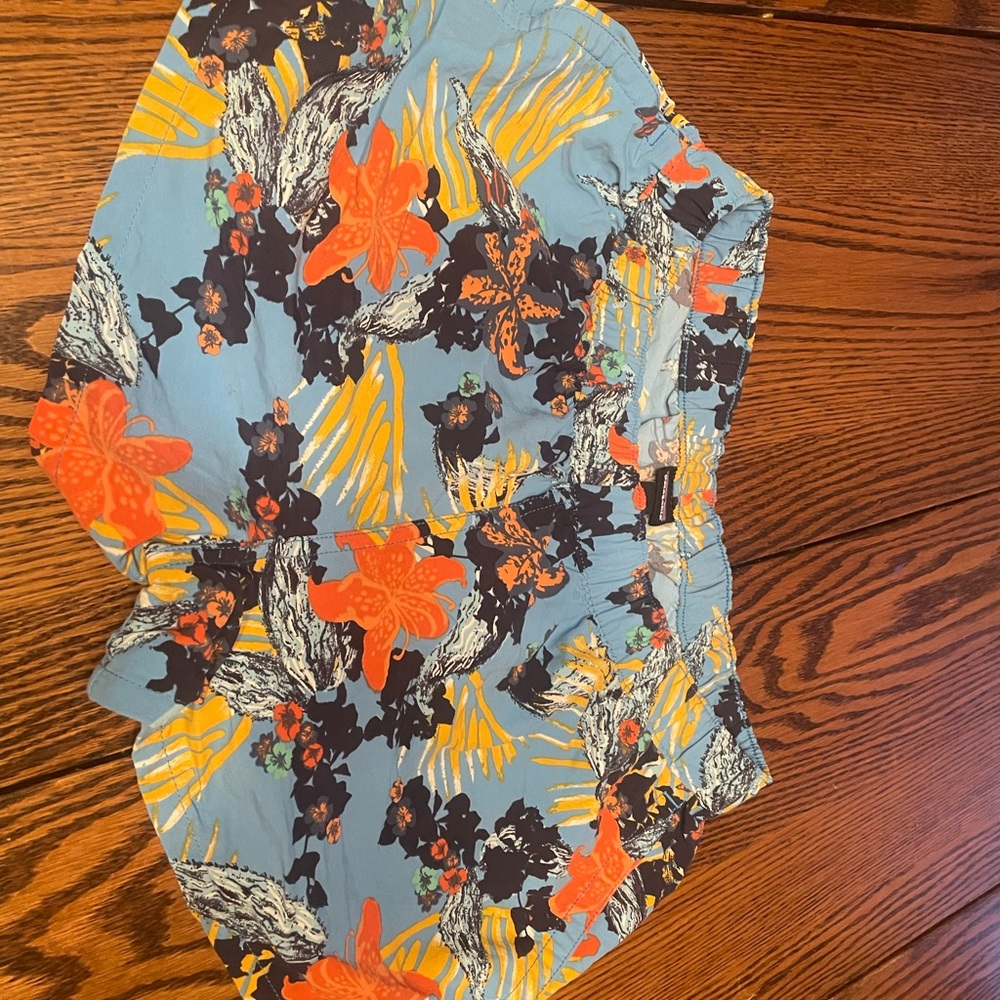 Patagonia Baggies Shorts